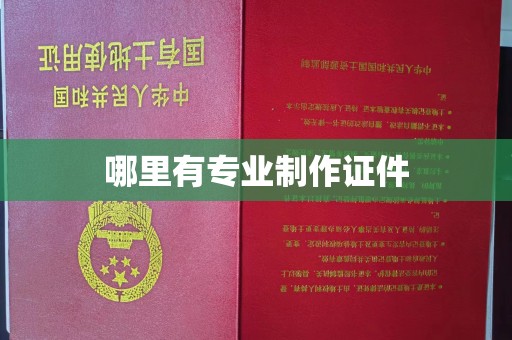 休宁哪里有专业制作证件