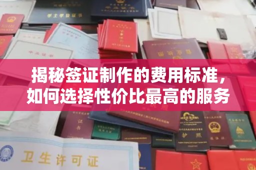 休宁揭秘签证制作的费用标准，如何选择性价比最高的服务？